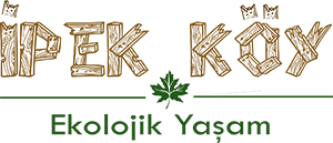 İkek Köy